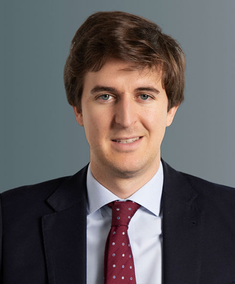 Enrique Investment Team Principal